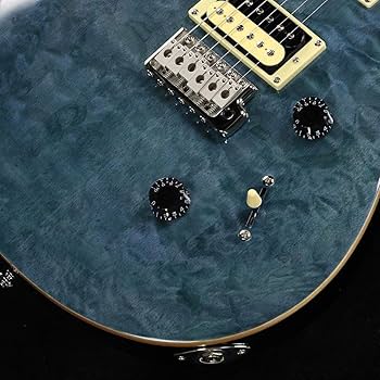 Amazon | PRS ポールリードスミス エレキギター SE Custom 24